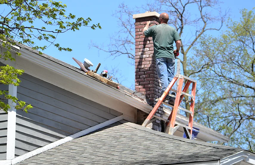 Chimney & Fireplace Inspections Services in Brownsville, FL